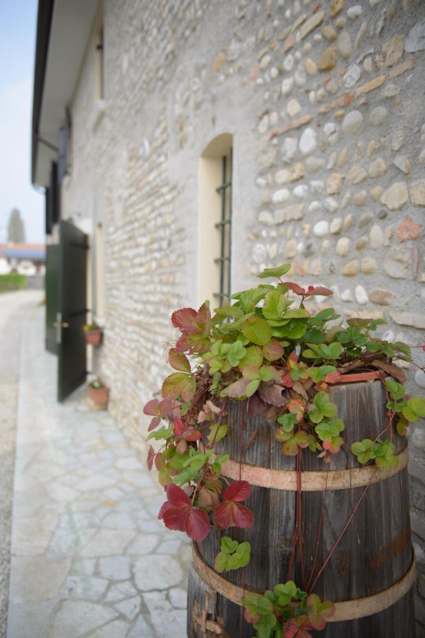 Ca' Premuda Locazione Turistica Villa Codogne Bagian luar foto